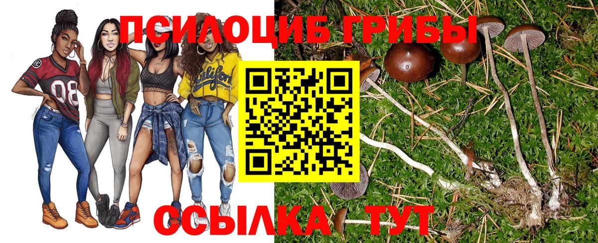 Псилоцибиновые грибы мухоморы  Вход с VPN  Качканар 