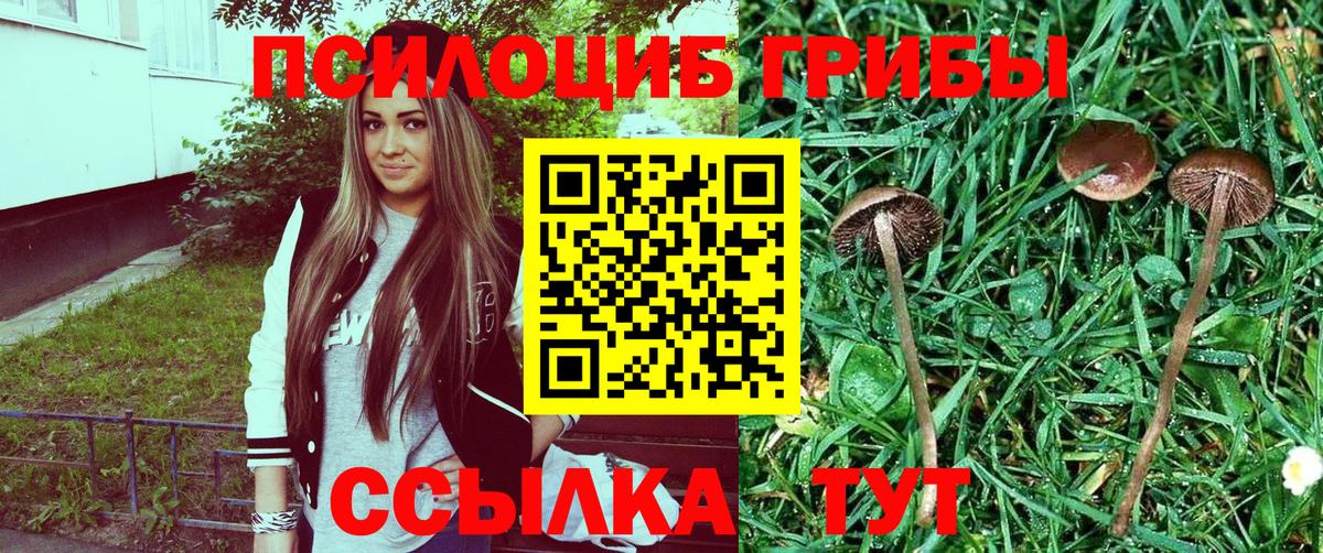 Псилоцибиновые грибы мухоморы Качканар